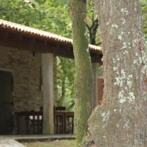 Área recreativa Os Pasos