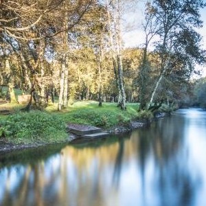 ÁREA RECREATIVA OS PASOS CON EFECTOS