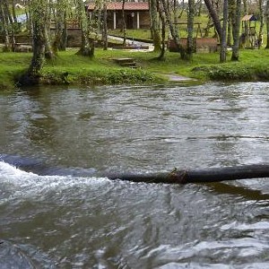 Área Recreativa