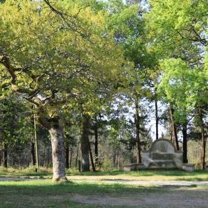 Capela San Nicolao (Mesos)