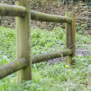 Área Recreativa Ponte Carballa