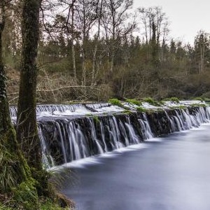 ÁREA RECREATIVA A PRESA (LEDOIRA) CON EFECTOS