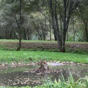 Área Recreativa Piscina Papucin