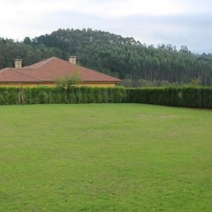 CAMPO FÚTBOL MESOS