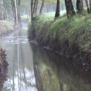 Muíño de Céltigos (Celtigos)