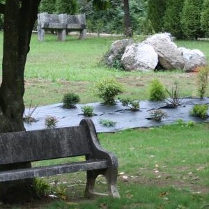 Área Recreativa Ponte Carballa (Abellá)