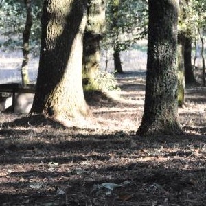 Capela Augasantas