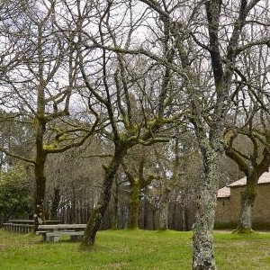 Capela de San Nicolao e Cruceiro (Mesos)