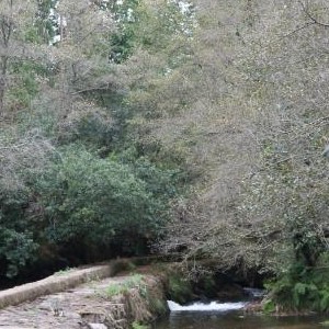 Área recreativa A Presa
