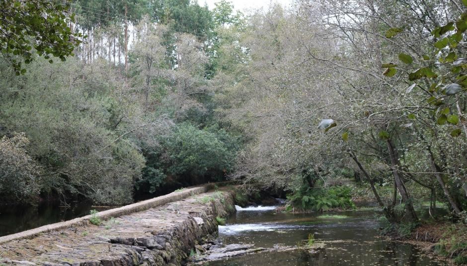 Área Recreativa A Presa (Ledoira)