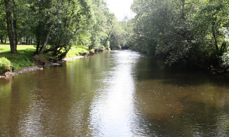 Medio Ambiente